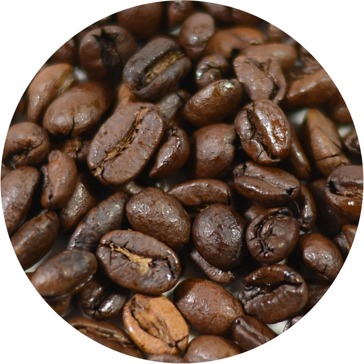 MOKA JAVA FTO — Texas Coffee Traders